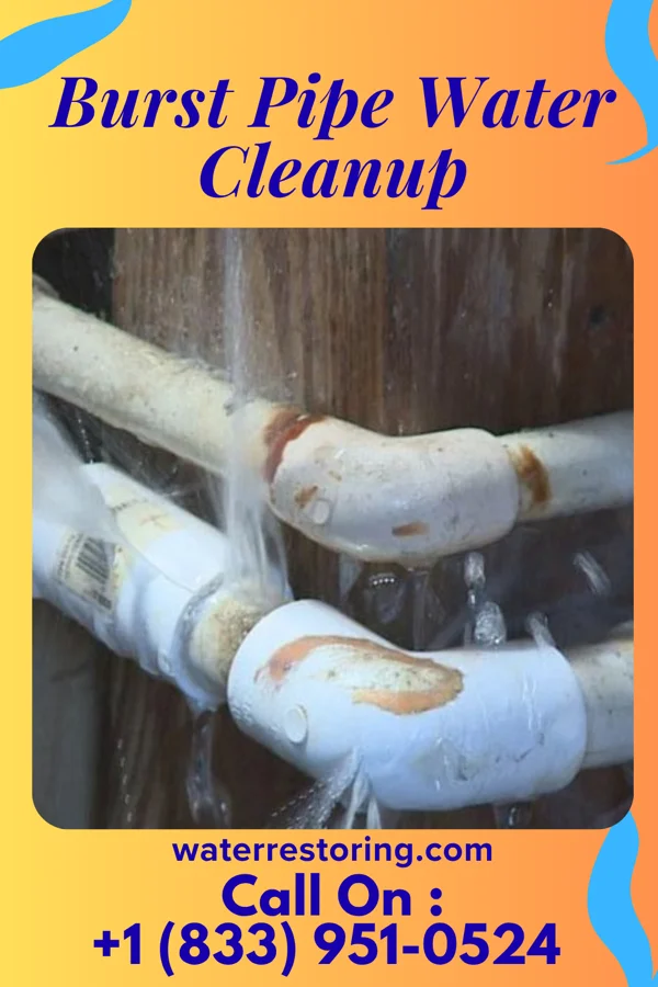 Burst Pipe Water Cleanup in Osgood, MO