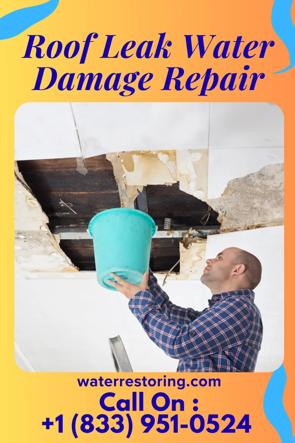 Roof Leak Water Damage Repair in Osgood, MO