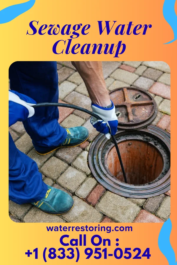 Sewage Water Cleanup in Osgood, MO